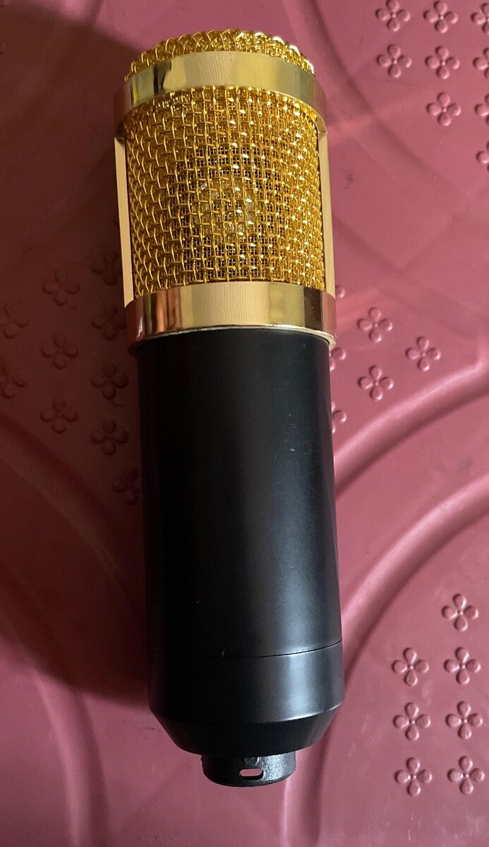 Bm 800 condenser microphone with mount