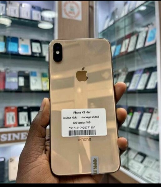 iPhone XS Max Or 256 Go