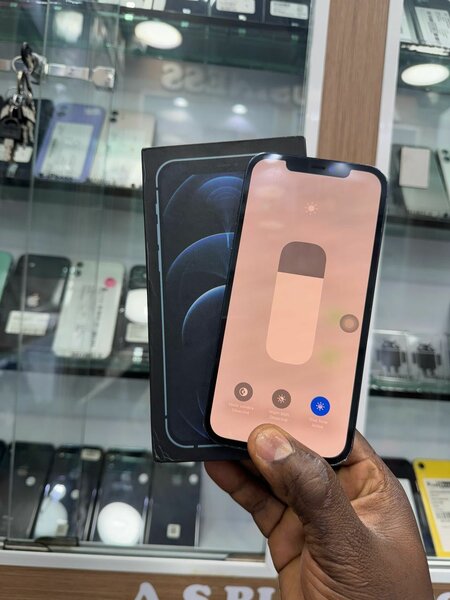 12 pro max tout passe propre