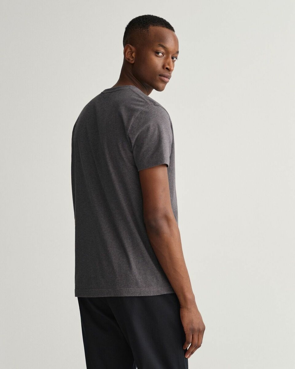 T-Shirt GANT Homme Gris