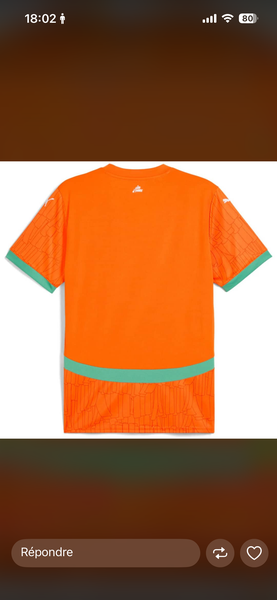Maillot Équipe Côte d'Ivoire