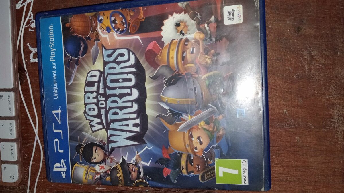 Jeu PS4 World of Warriors