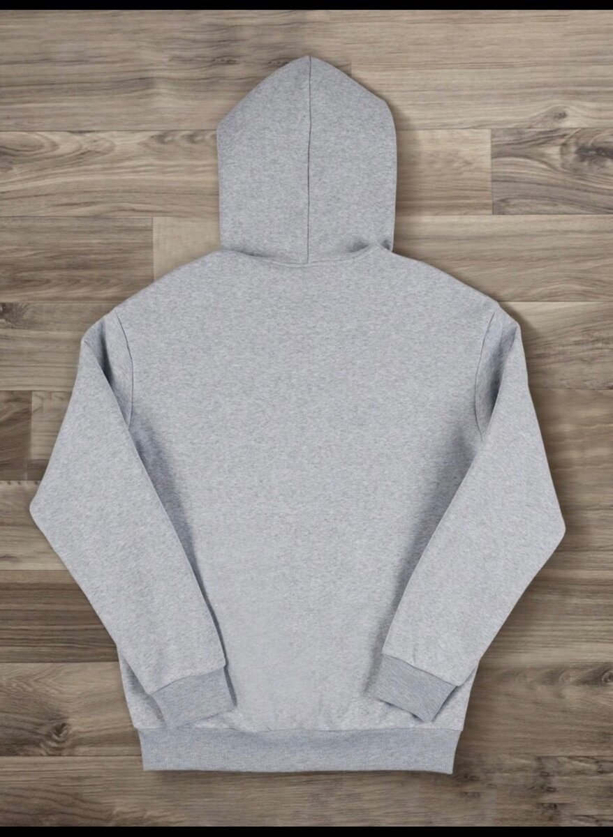 Sweat à Capuche Graphique Gris