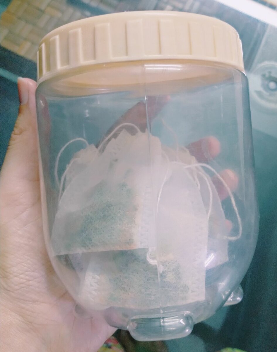 Moringa tea bags (pack of 20)