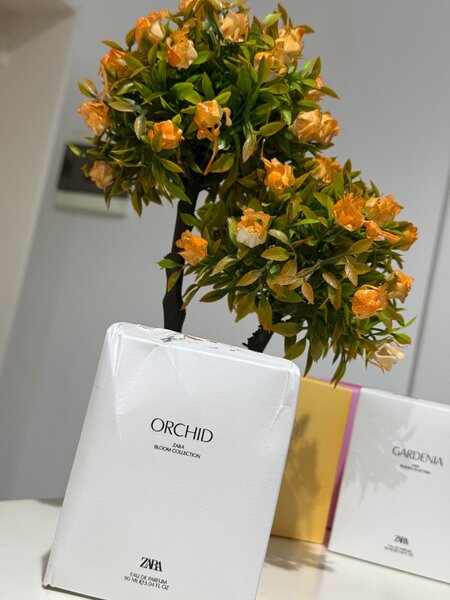 Zara Parfums Extraits