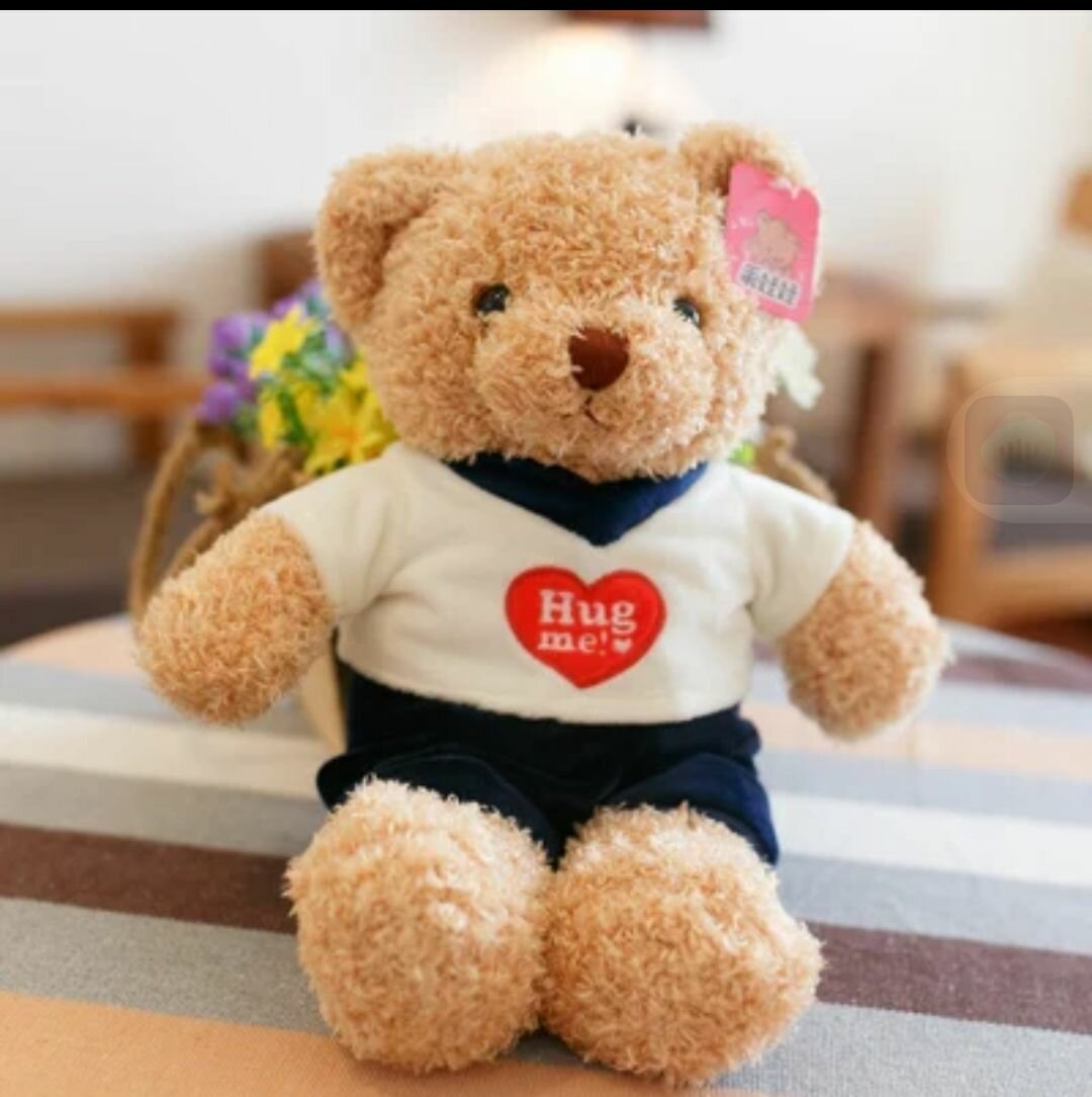 Peluche pour amoureux et enfants 40 Cm