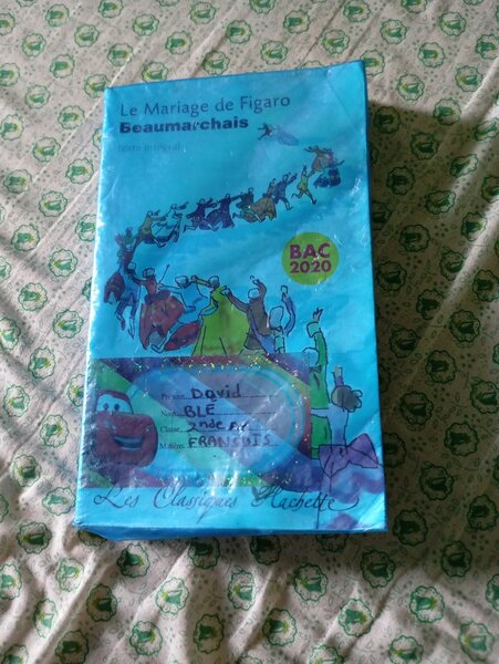 French Classic Literature Books