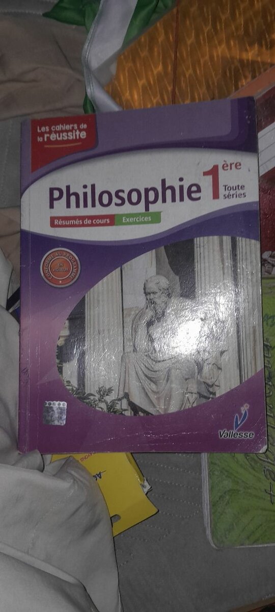 Philosophie 1re - Résumés et Exercices