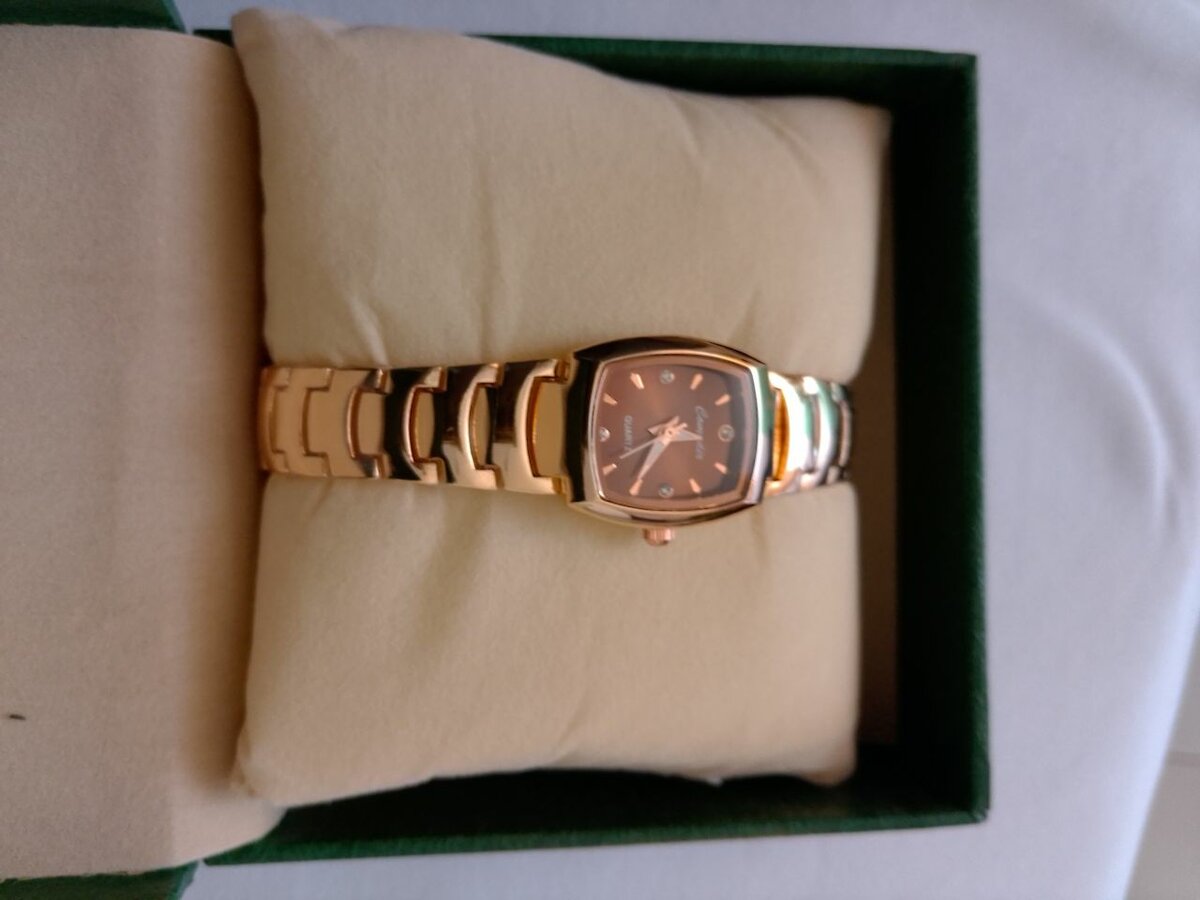 Montre Élégante Femme en Acier