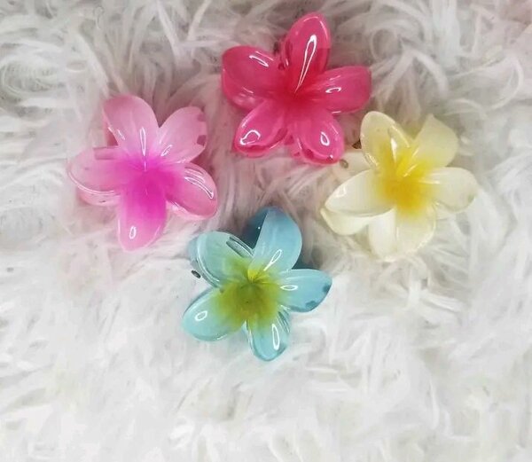 Pinces à cheveux fleurs colorées
