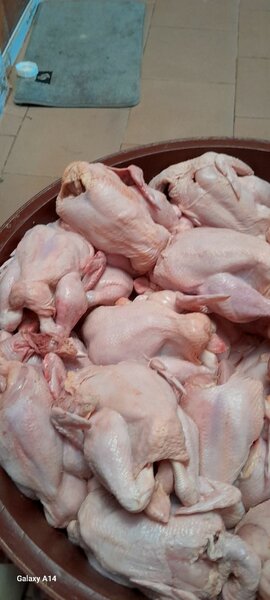 Poulet de chair frais et fumé