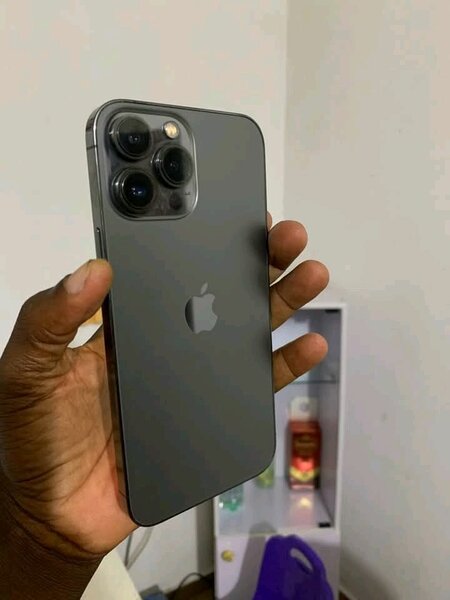 iPhone 13 Pro Max Gris