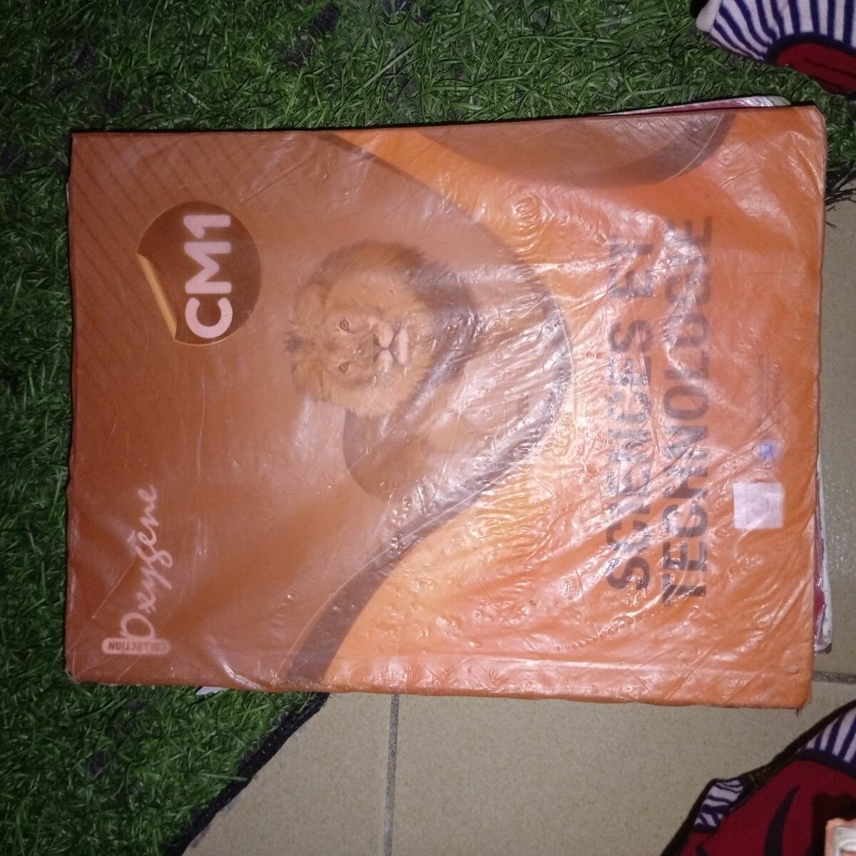 Cahier d'Évaluation CM1