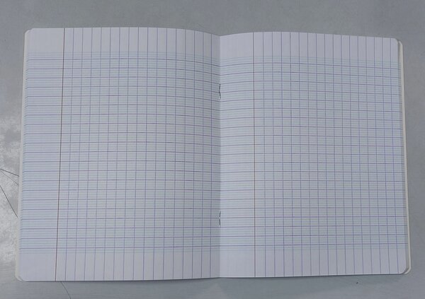 Cahier Privilège 100 Pages