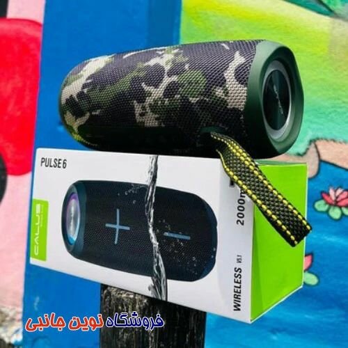 Enceinte Portable Bluetooth Pulse 6