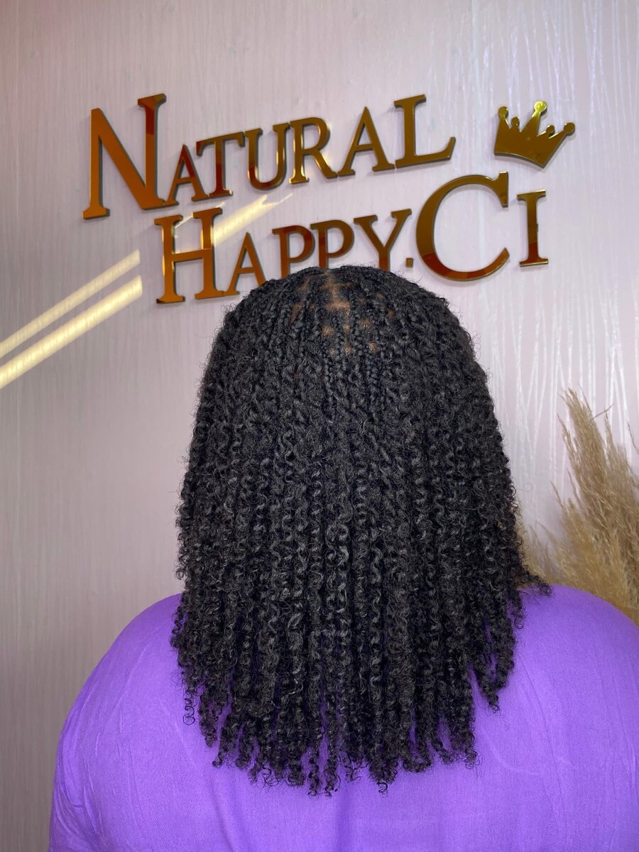 Microtwist petit budget