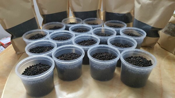 Grains de Poivre Noir Premium