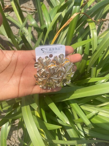 Precious Jewelries