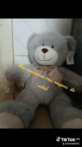 Peluche Ours Doux