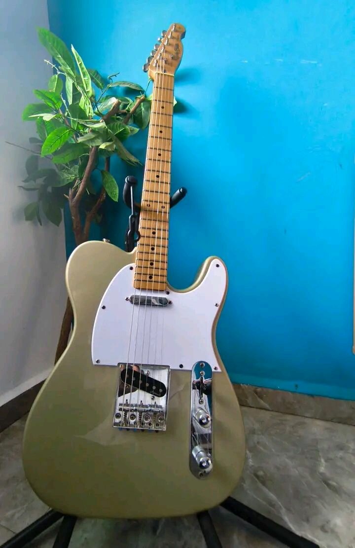 Guitare Électrique Vintage