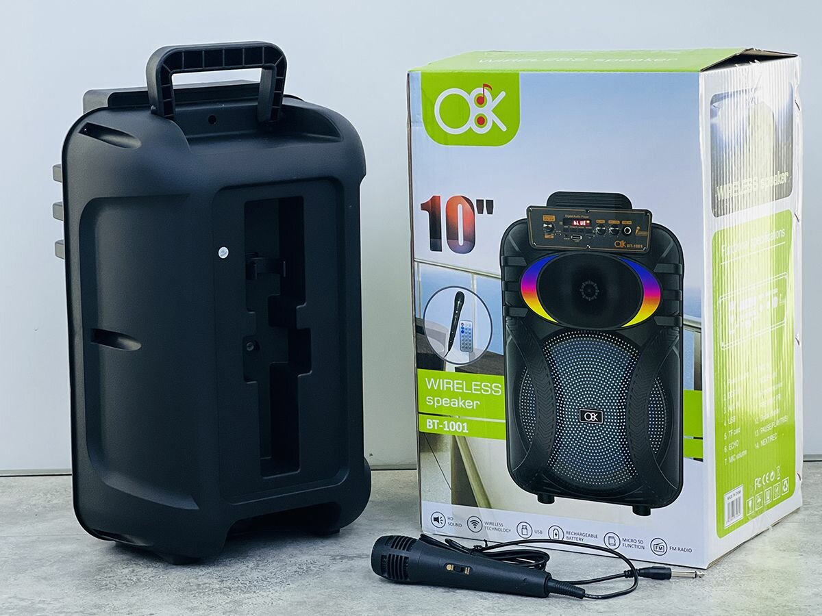 Haut-parleur Bluetooth 10'' portable