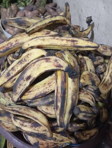 Bananes plantains mûres