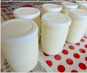 Yaourt crémeux maison