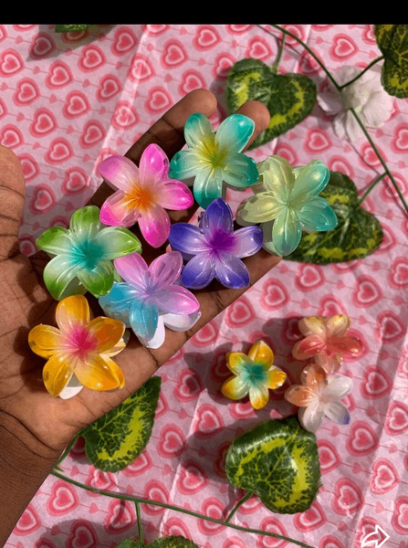 Fleurs Épingles Colorées