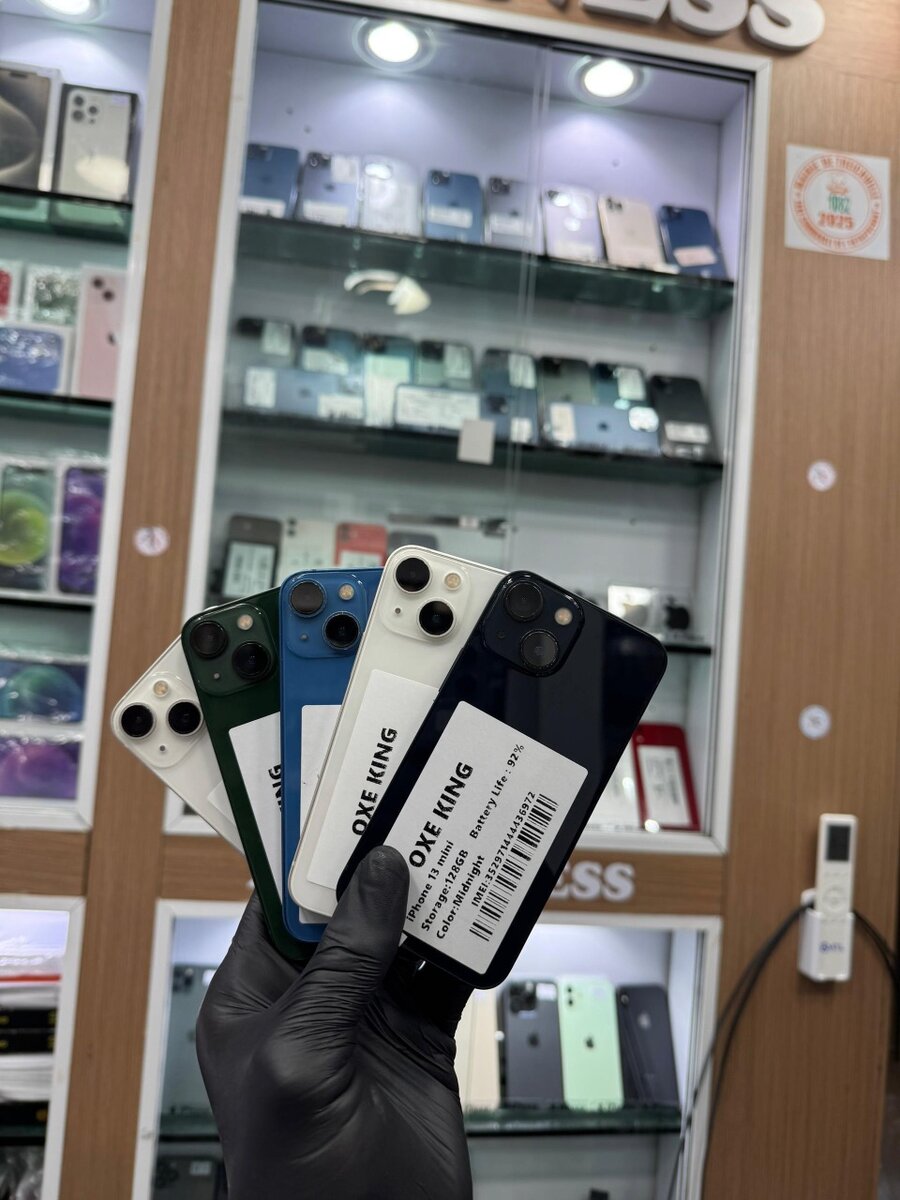 13 Mini 128giga quasi neuf