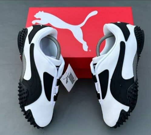 Puma monstro