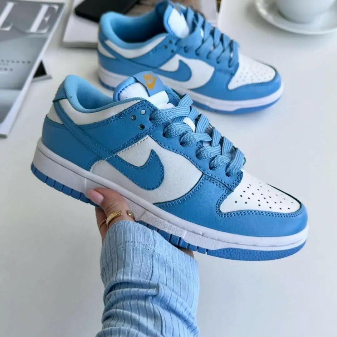 Nike dunk SB low.