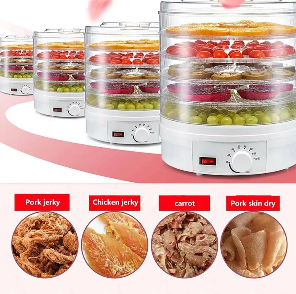 Déshydrateur alimentaire 220V