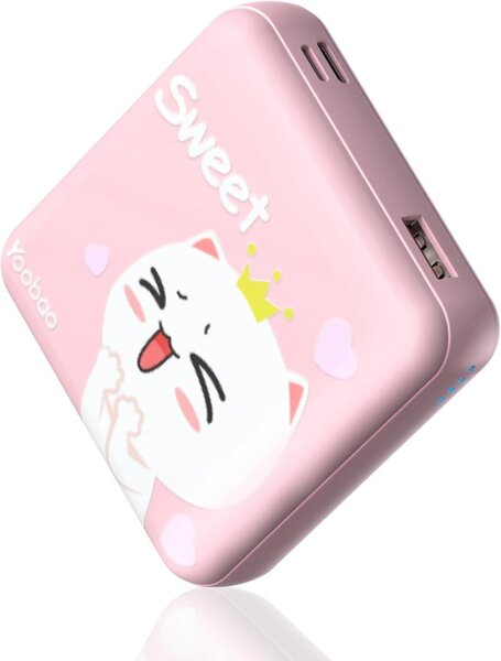 Power bank