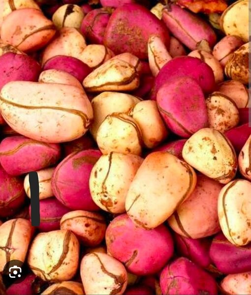 Noix de Kola Naturelles