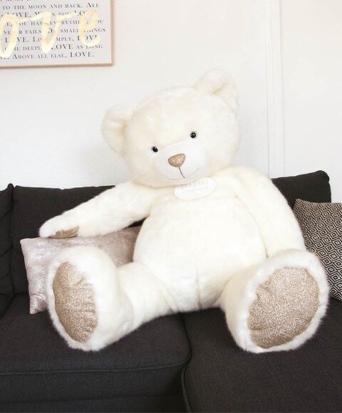 Nounours de compagnie