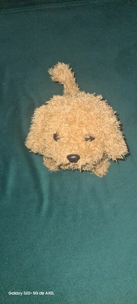 Chien électronique jouer