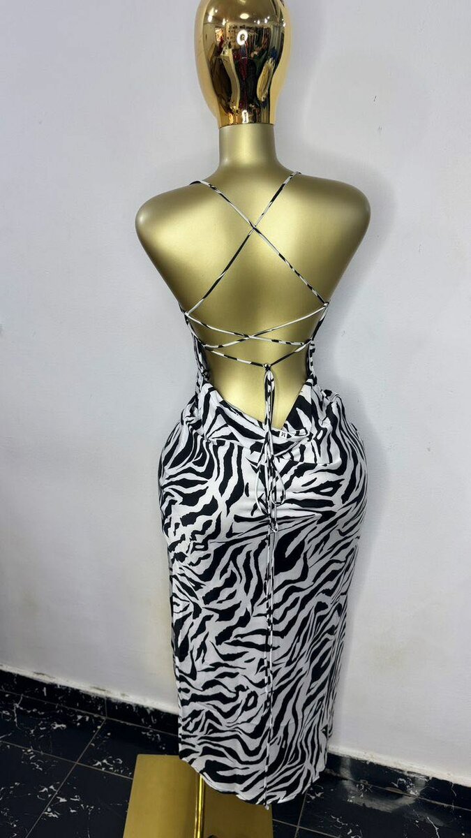 Robe Longue Imprimée Zèbre