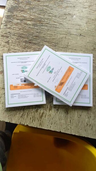 Thèses imprimées professionnelles