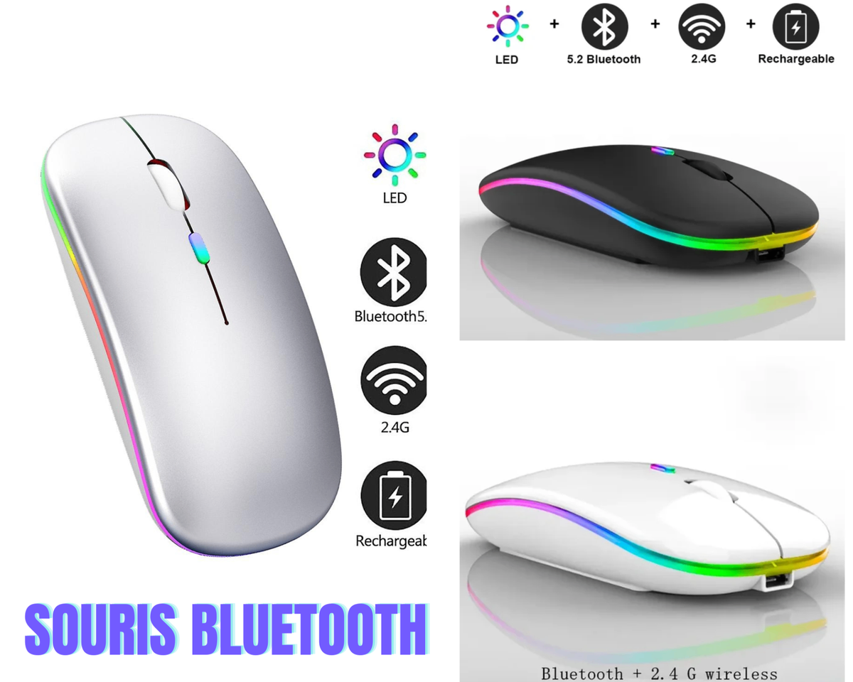 Souris rechargeable bluetooth