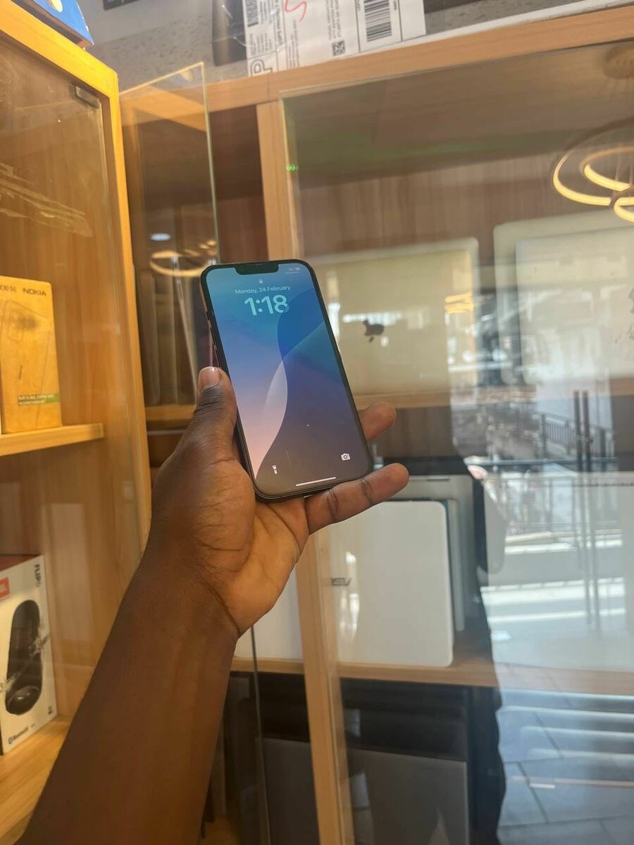 iPhone 13 Gevey Everything is working