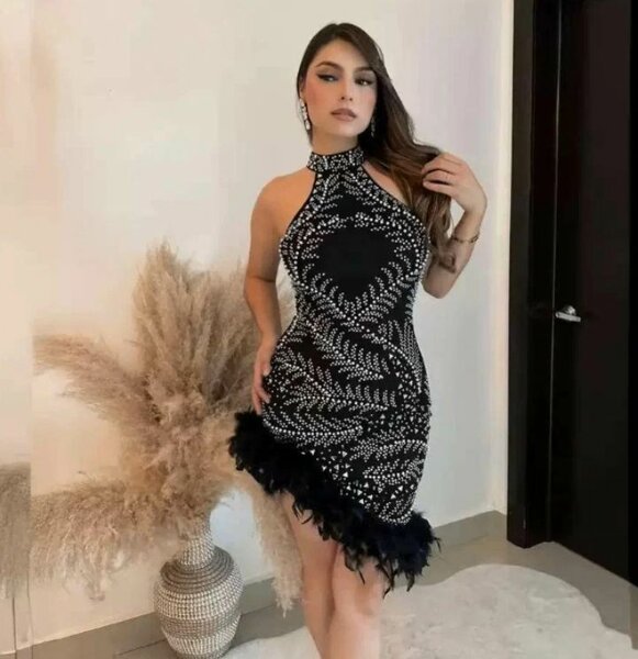 Robe Chic Perles et Plumes