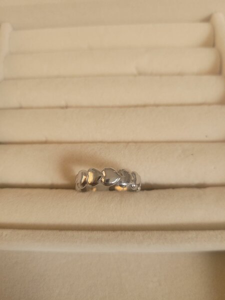 Bague en acier inoxydable