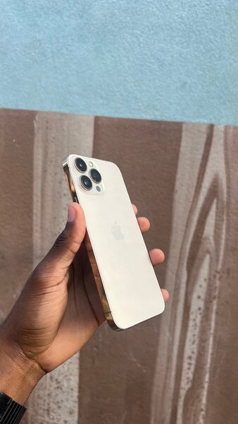 Smartphone Haut de Gamme