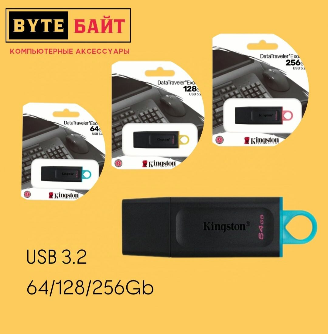Флешка Kingston DTX 64Gb USB 3.2