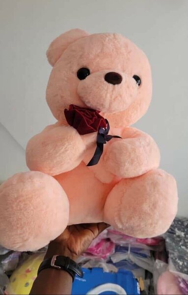 Ours en peluche doudou