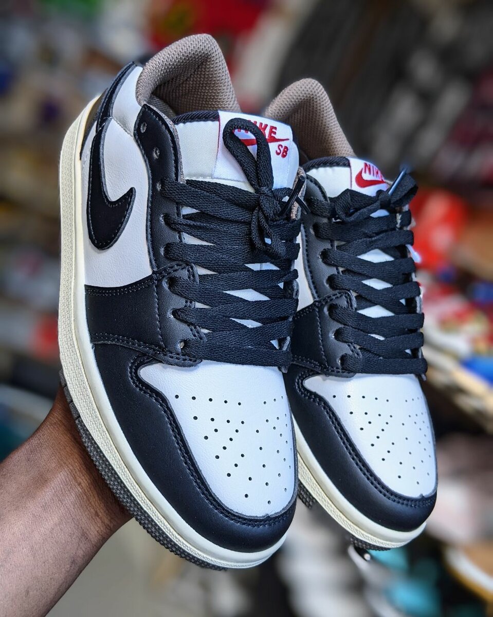 Nike Air Jordan 1 Dunk