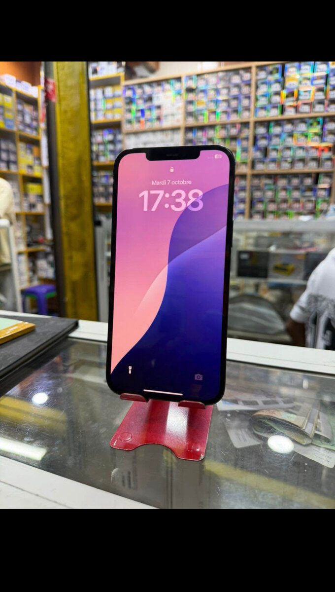 iPhone 13 Pro Max 256 Go