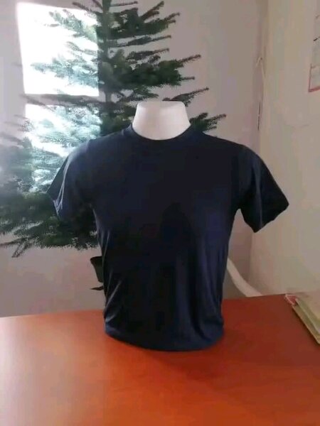 T-shirt classique homme