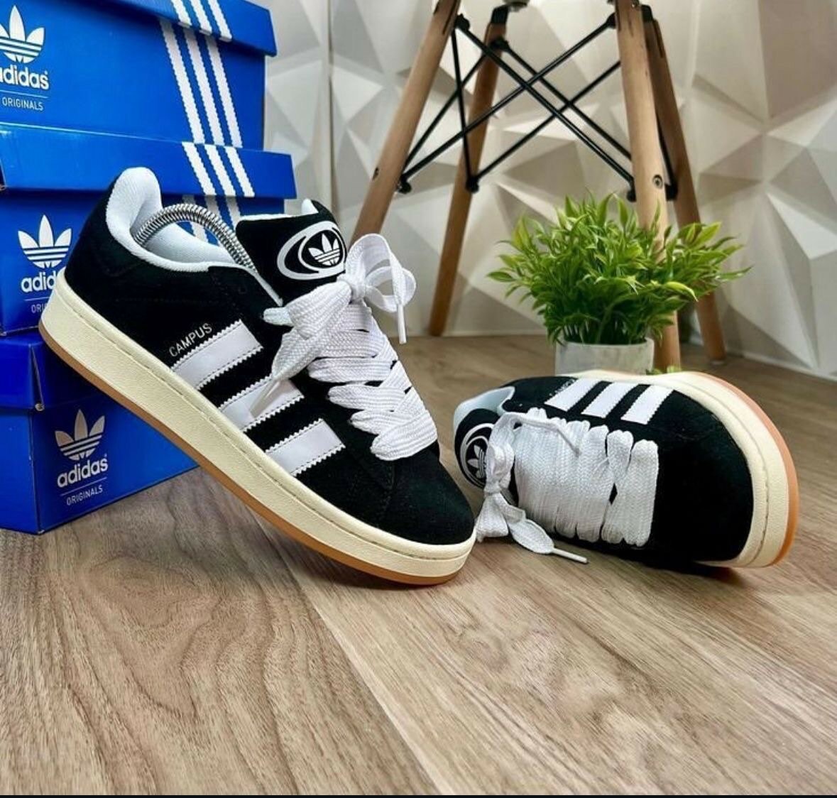 Chaussures Adidas Campus élégantes