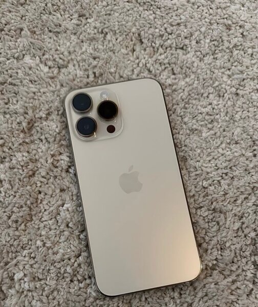 iPhone 13 Pro Max 256 gig